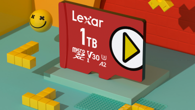 Lexar Announces New PLAY microSDXC UHS-I Memory Card 79